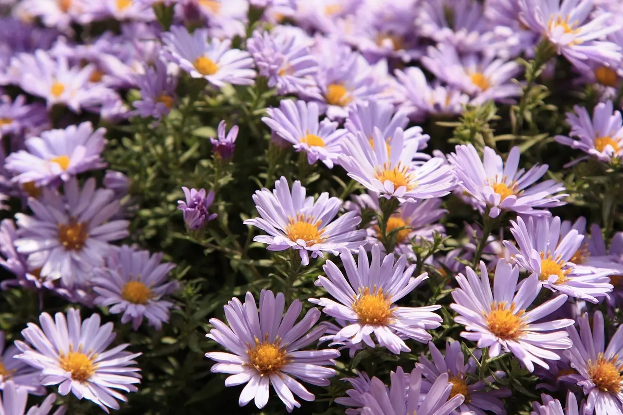 Hvornår blev Berlinmuren væltet? - Natten der ændrede verden