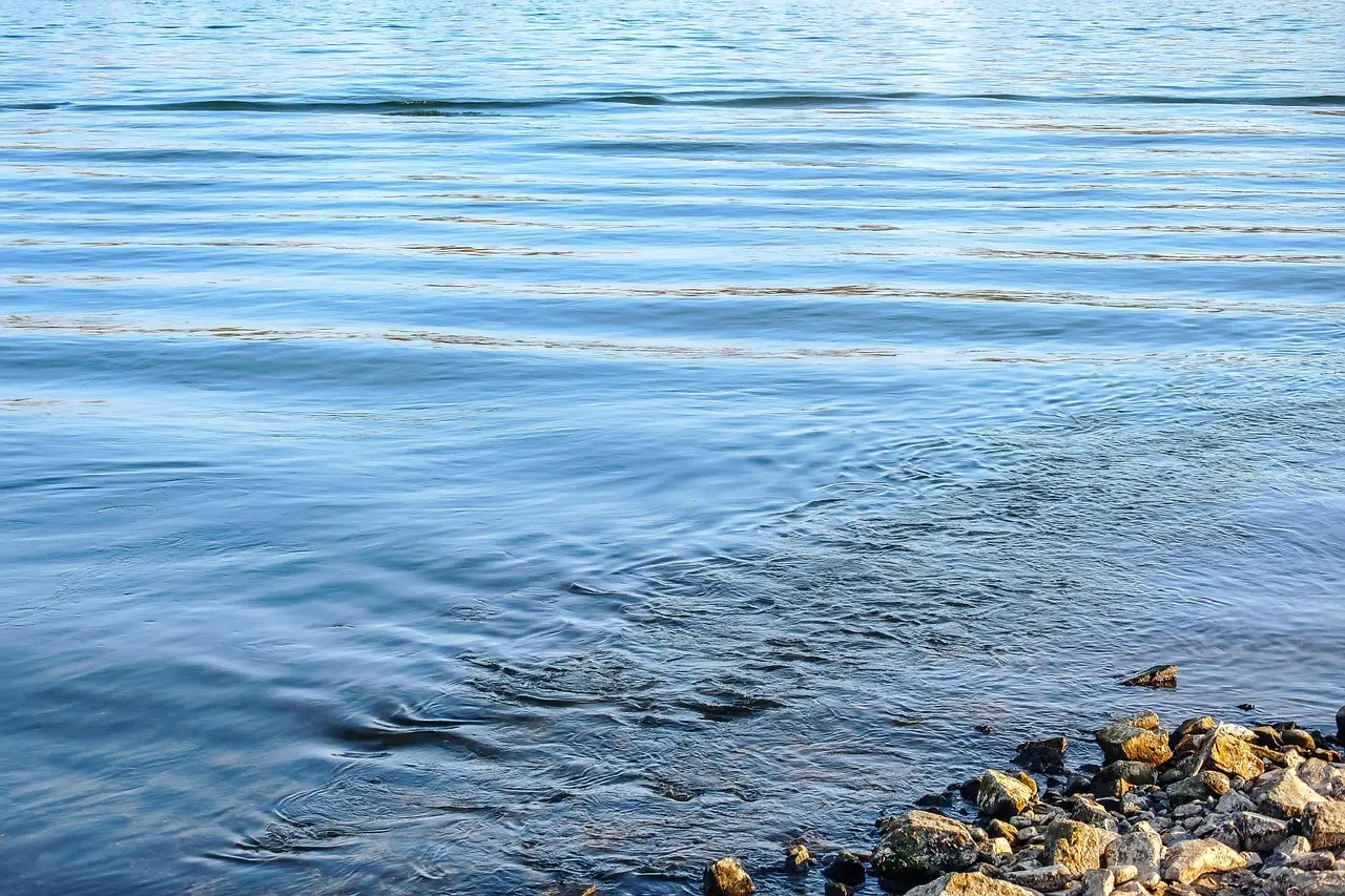 Tysk Flod i Krydsord Tips